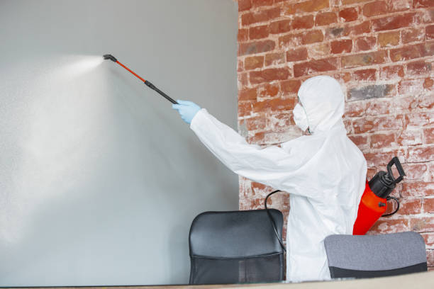 Best Biohazard Mold Removal  in Franklin, WI