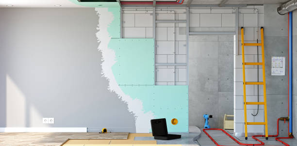 Professional Mold Removal in Franklin, WI